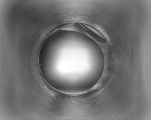 X0000075840481200609291442