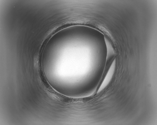 X0000075840483200609291441