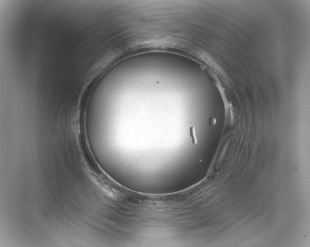 X0000075840486200609291441