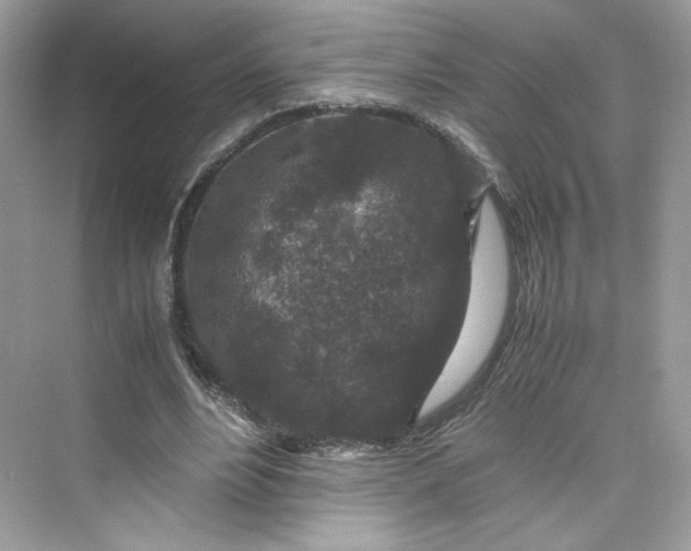 X0000075840488200609291441