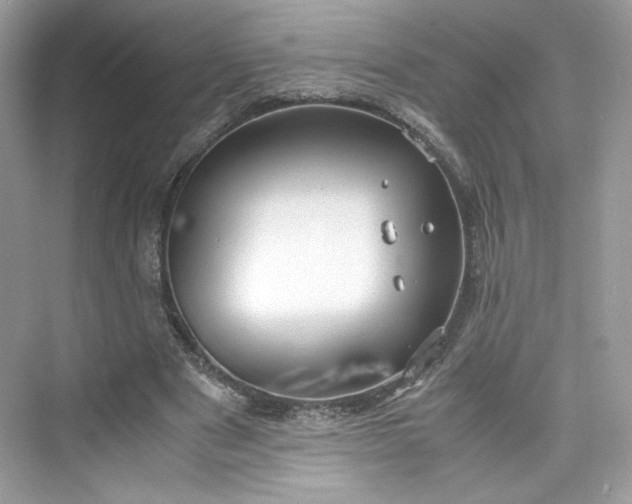 X0000075840489200609291441