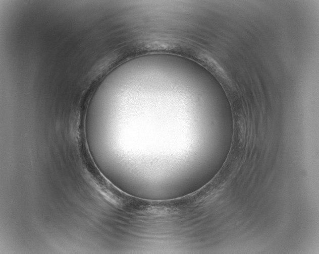 X0000075840490200609291441