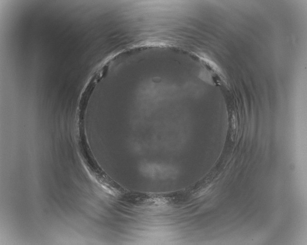 X0000075840492200609291441