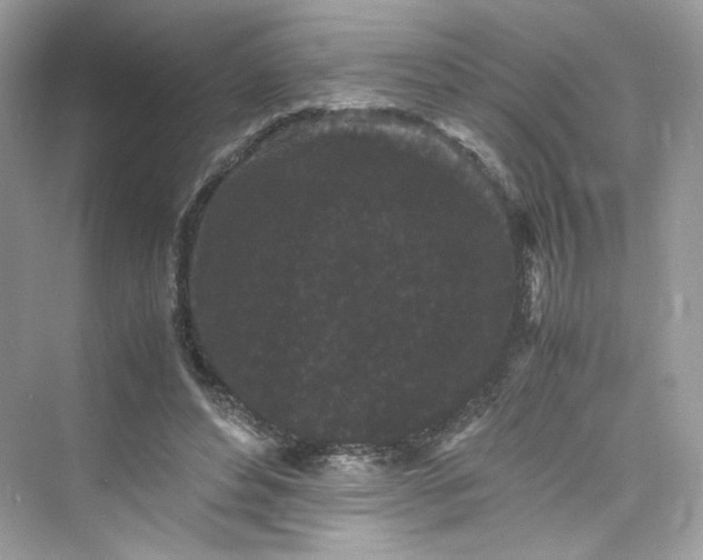 X0000075840496200609291441