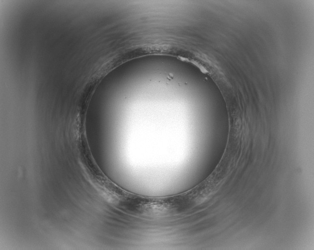 X0000075840498200609291441