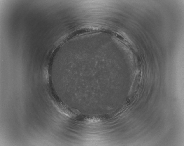 X0000075840500200609291441