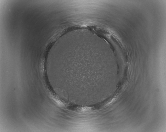 X0000075840501200609291441