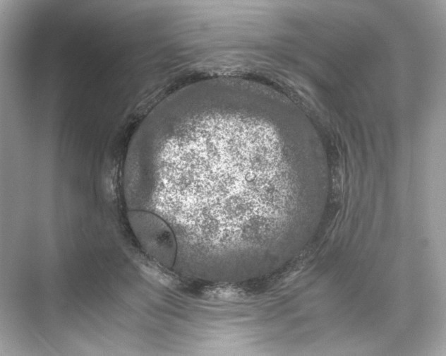 X0000075840503200609291441