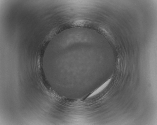 X0000075840504200609291441