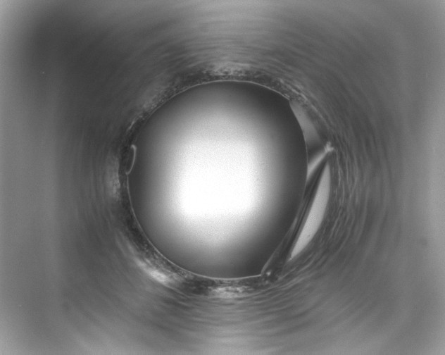 X0000075840508200609291441