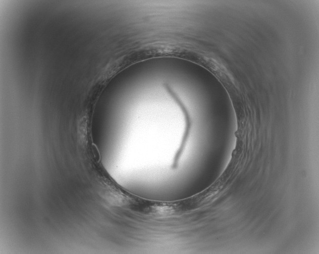 X0000075840509200609291441