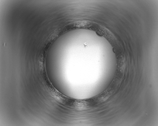 X0000075840510200609291441