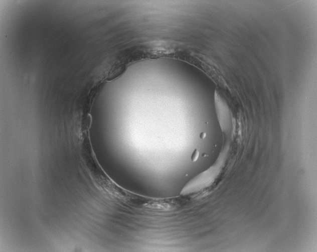 X0000075840512200609291441