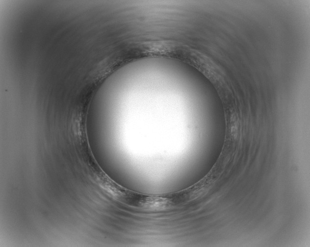 X0000075840514200609291441