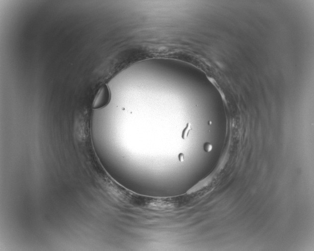 X0000075840515200609291441