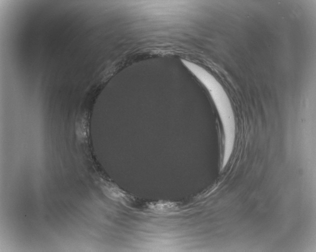 X0000075840517200609291441