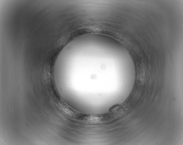 X0000075840518200609291441