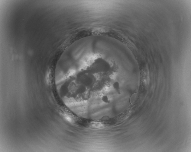 X0000075840519200609291441