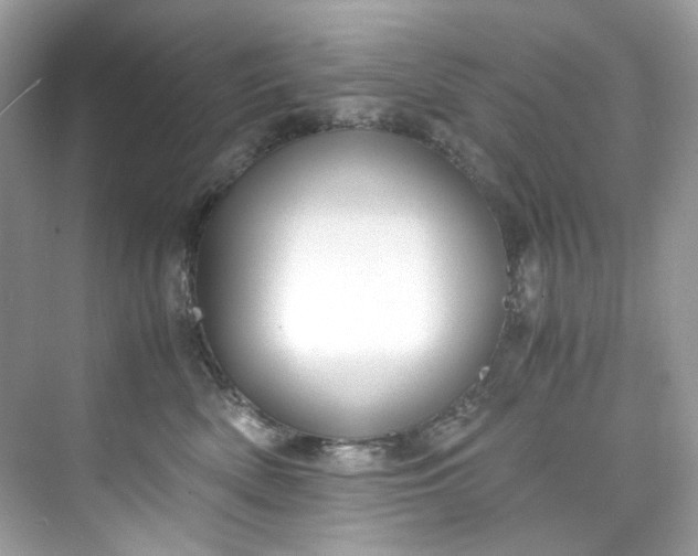 X0000075840522200609291441