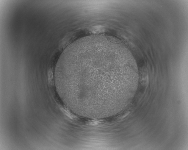 X0000075840523200609291441