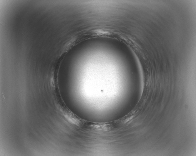 X0000075840524200609291441