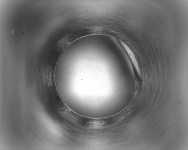 X0000075840525200609291441