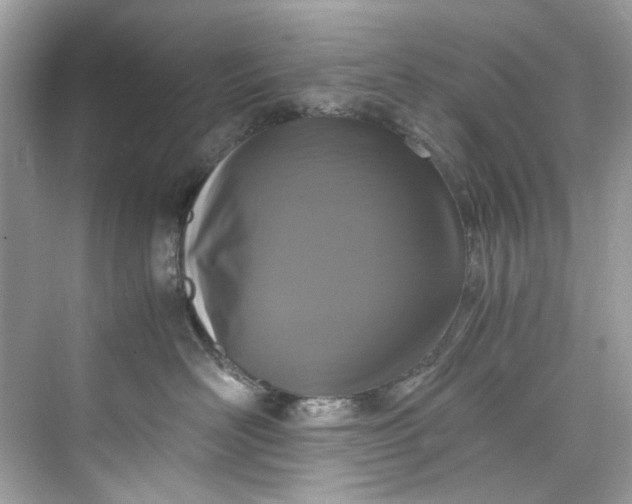 X0000075840526200609291441