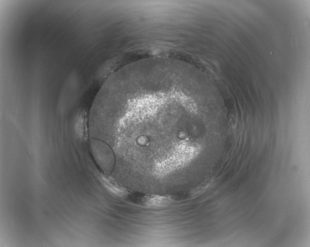 X0000075840527200609291441