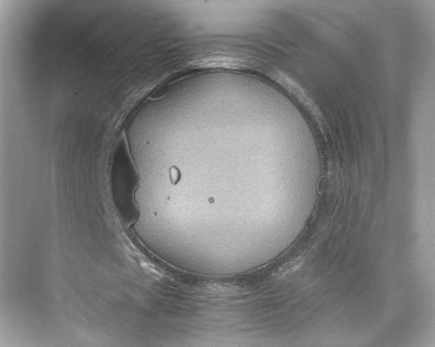 X0000075840529200609291440