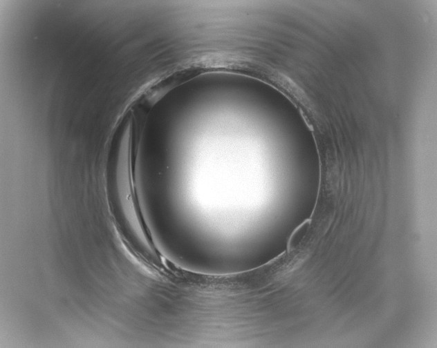 X0000075840530200609291440