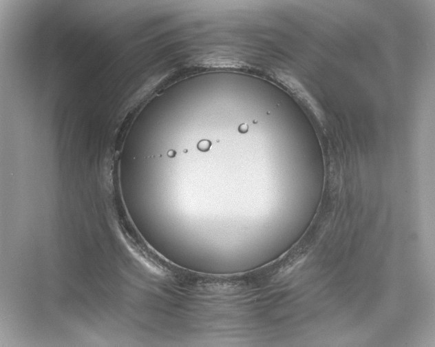 X0000075840533200609291440