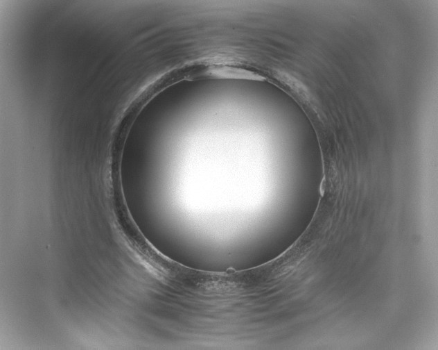 X0000075840535200609291440