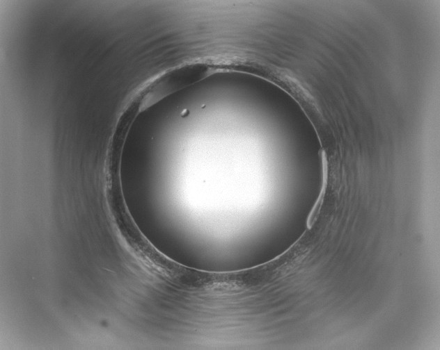 X0000075840536200609291440