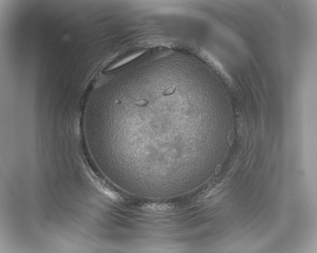 X0000075840537200609291440