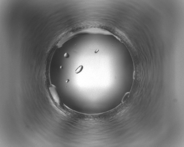 X0000075840538200609291440