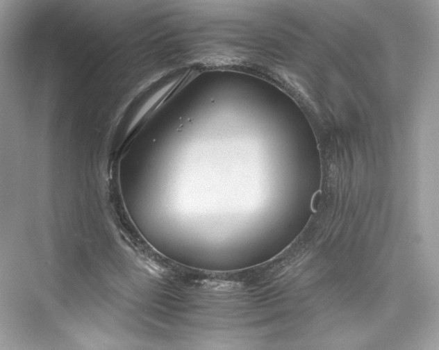 X0000075840539200609291440