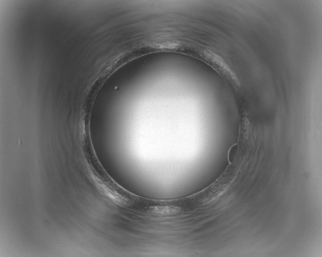 X0000075840541200609291440