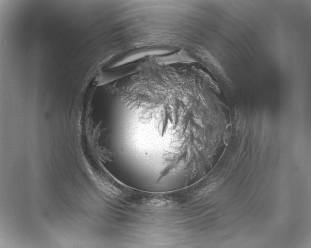 X0000075840542200609291440