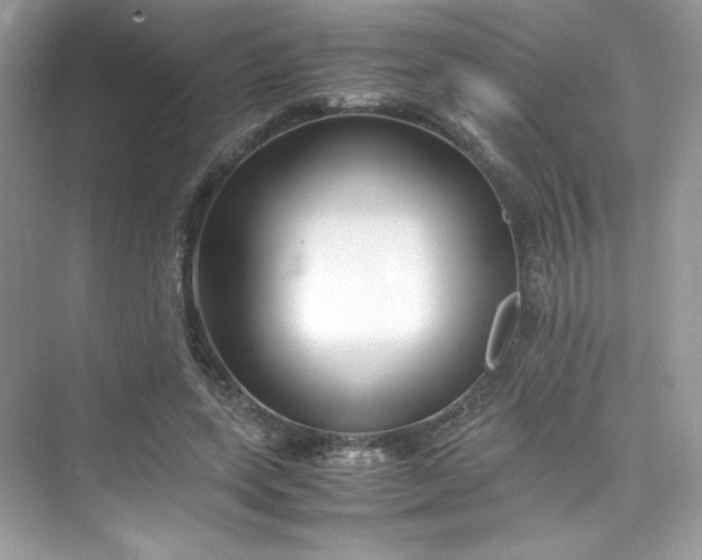 X0000075840543200609291440