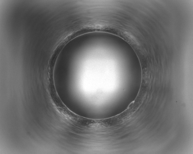 X0000075840544200609291440