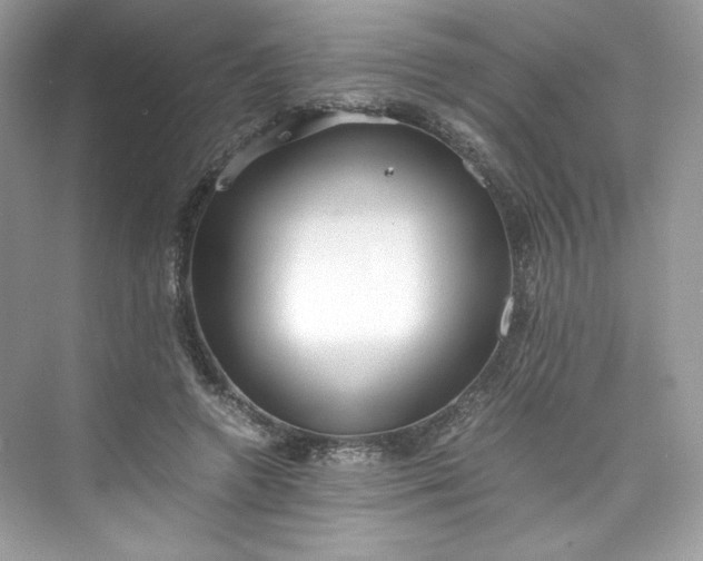 X0000075840546200609291440