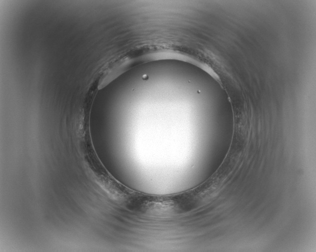 X0000075840548200609291440