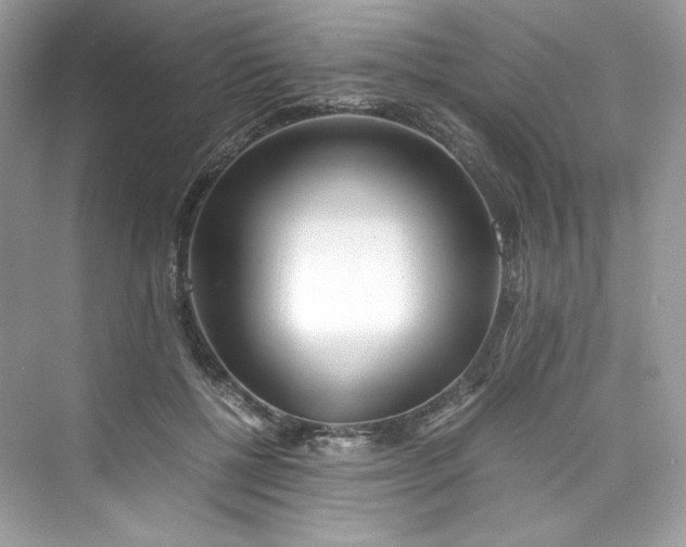 X0000075840552200609291440