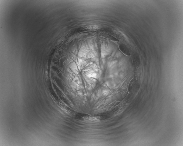 X0000075840553200609291440