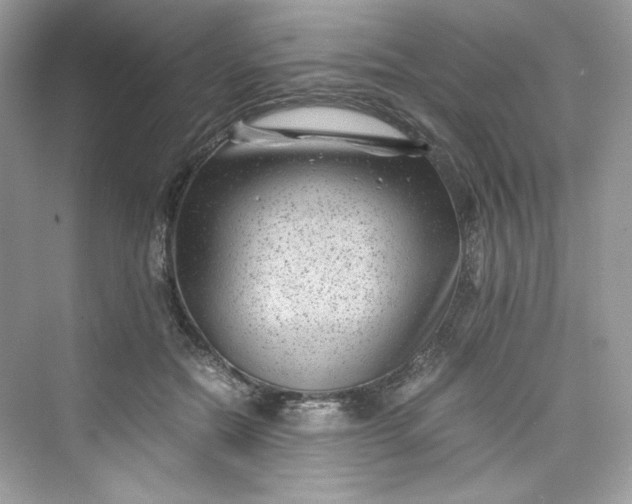 X0000075840554200609291440