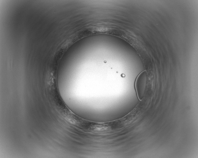 X0000075840555200609291440