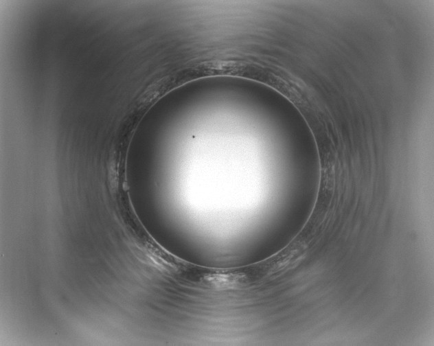 X0000075840558200609291440