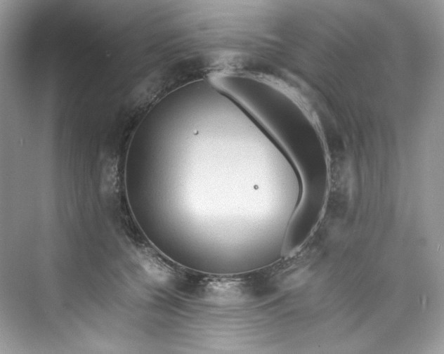 X0000075840560200609291440