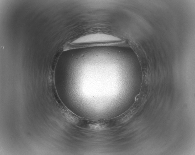 X0000075840561200609291440