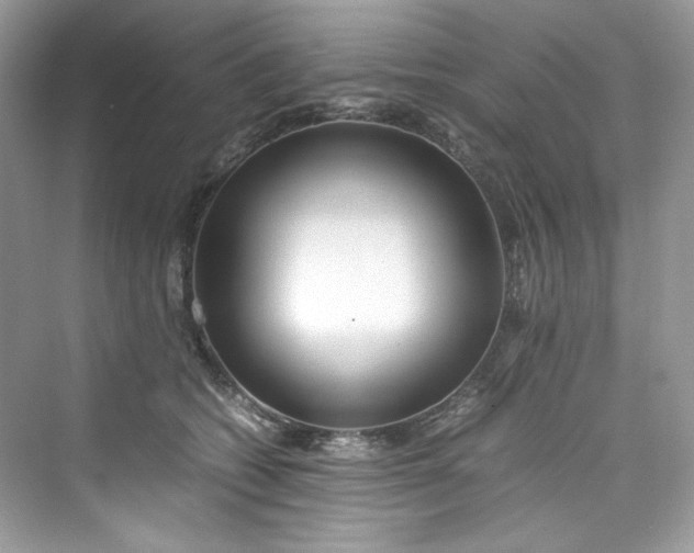 X0000075840562200609291440